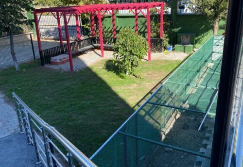 6e995c36-a7e1-49c6-9dba-b03dbc6b4810